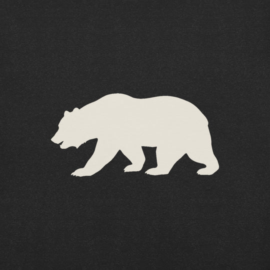 California Bear Graphic T-Shirt, print close-up