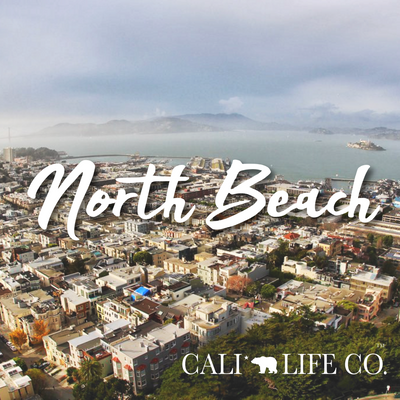 Cali Life Co. North Beach polarized UV400 eco-friendly sunglasses designed in San Diego CA