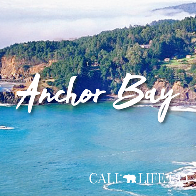 Cali Life Co. Anchor Bay polarized UV400 eco-friendly sunglasses designed in San Diego CA